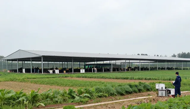 运维托管中技术流程常见问题与解决方案